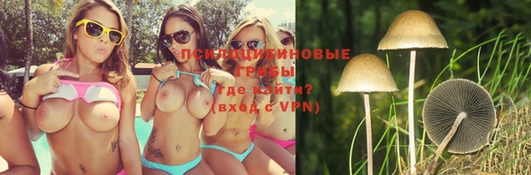 МДПВ Великий Новгород