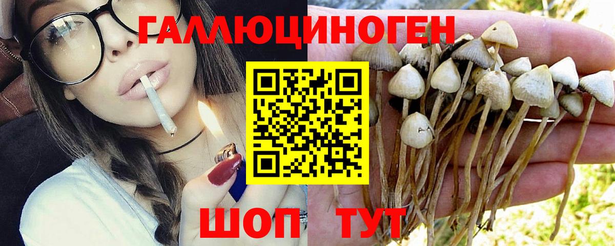 Галлюциногенные грибы MAGIC MUSHROOMS  Вход с VPN  Егорьевск  Псилоцибиновые грибы GOLDEN TEACHER 