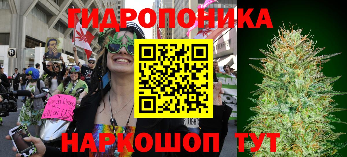 Шишки марихуана Ganja  Вход с VPN  Егорьевск  Бошки марихуана планчик  Бошки марихуана White Widow 